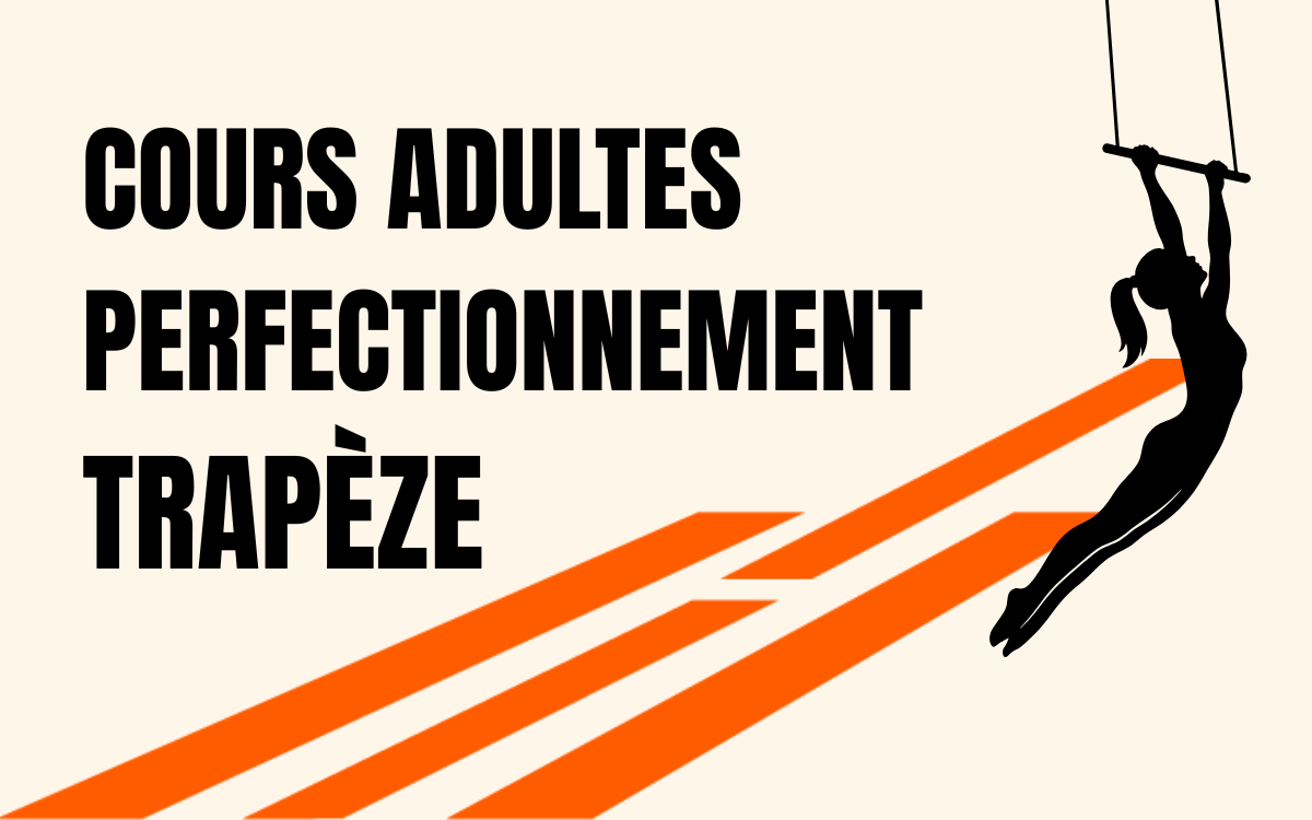 Perfectionnement Trapèze aérien